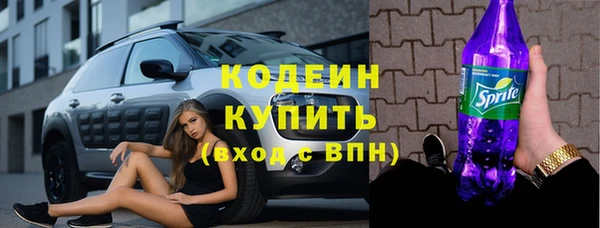 прущие грибы Абаза