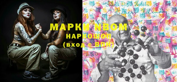 прущие грибы Абаза