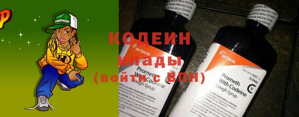 прущие грибы Абаза