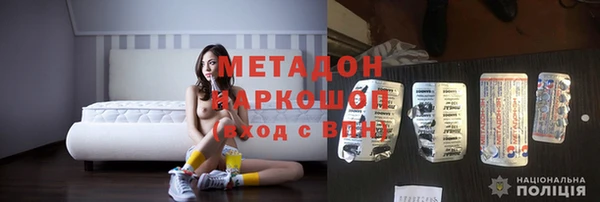 прущие грибы Абаза