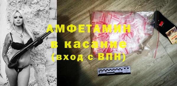 прущие грибы Абаза
