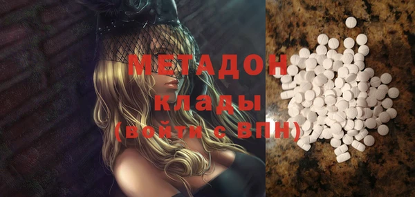 прущие грибы Абаза