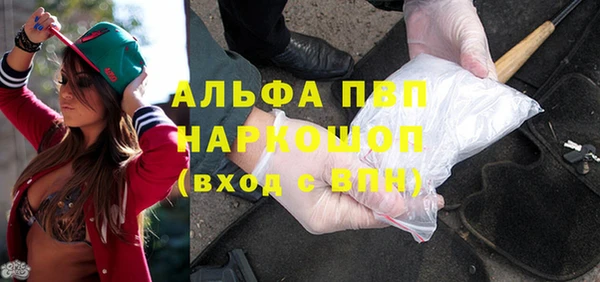 прущие грибы Абаза