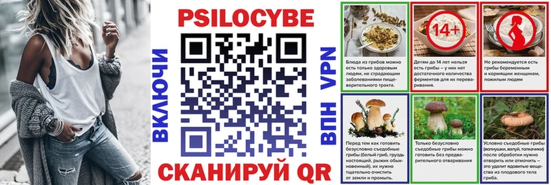 Псилоцибиновые грибы мицелий  Кизляр 