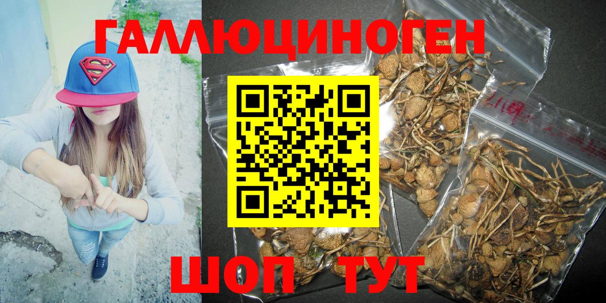 Кизляр  Галлюциногенные грибы ЛСД  Галлюциногенные грибы Cubensis  купить наркотики цена  Вход с VPN 