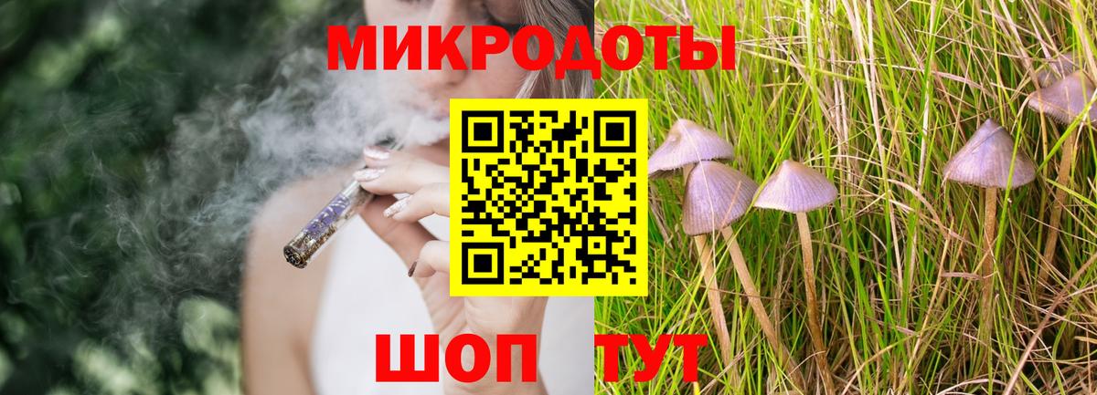 Галлюциногенные грибы Cubensis Кизляр